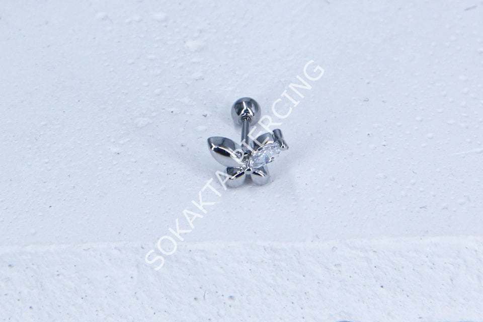 A99- TRAGUS
