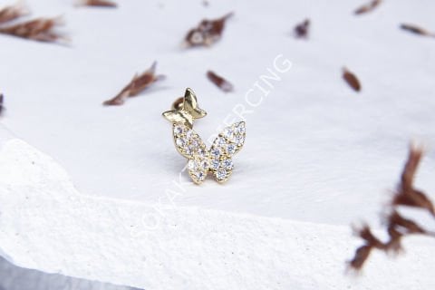B98 - TRAGUS
