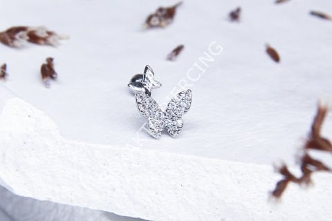 B98 - TRAGUS