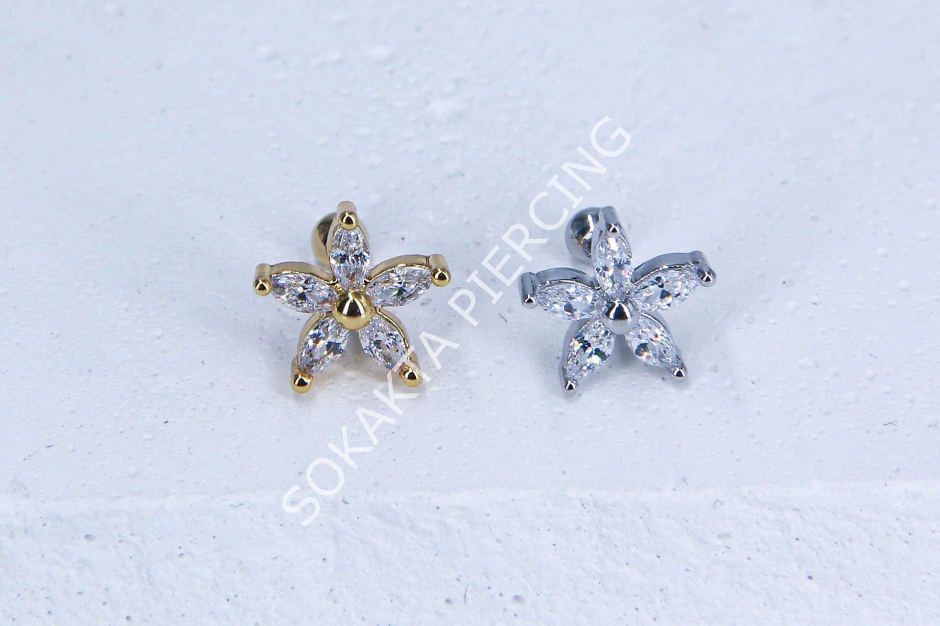 C22 - TRAGUS