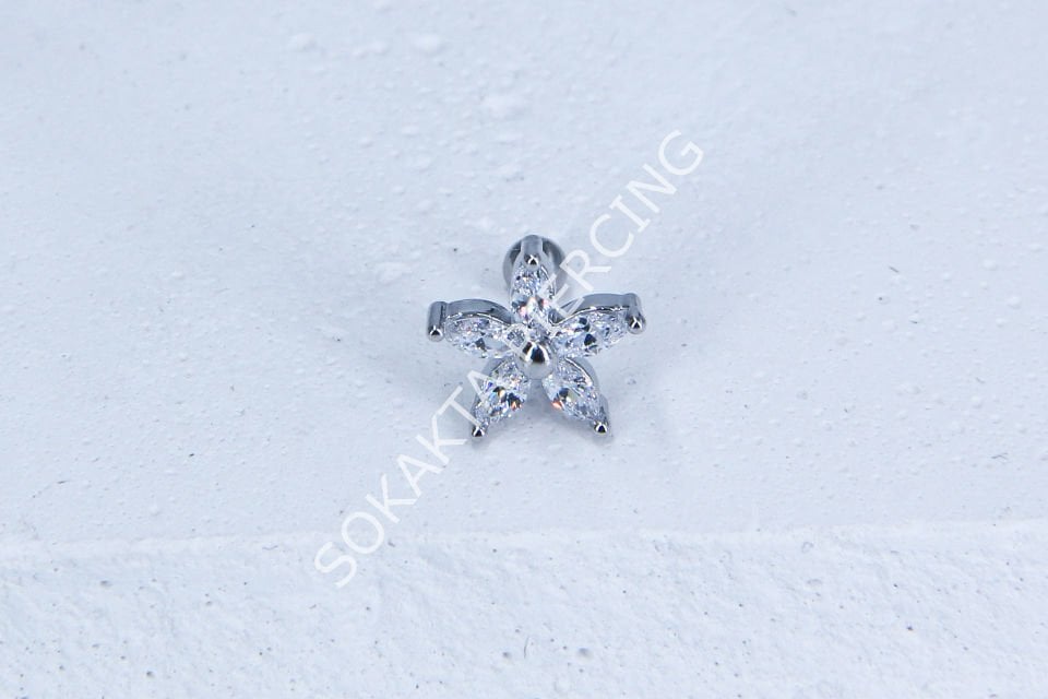 C22 - TRAGUS