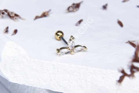 B55 - TRAGUS