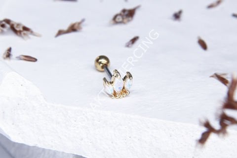 A4 - TRAGUS Silver