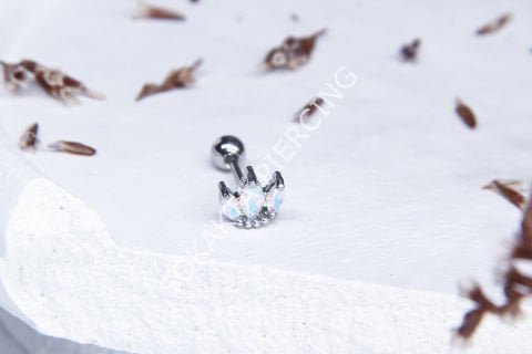 A4 - TRAGUS Silver
