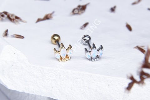 A4 - TRAGUS Silver
