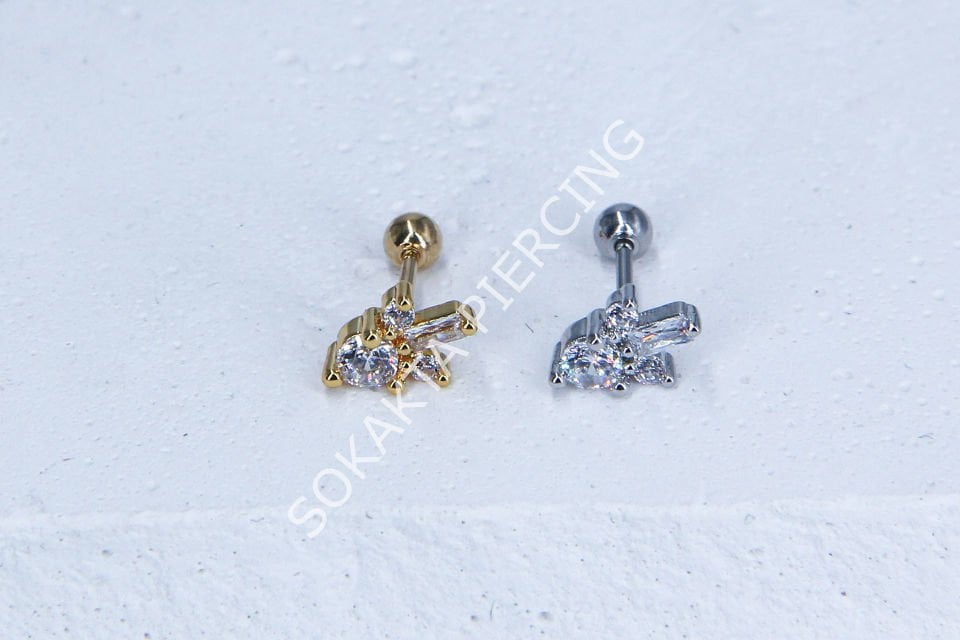 A101- TRAGUS