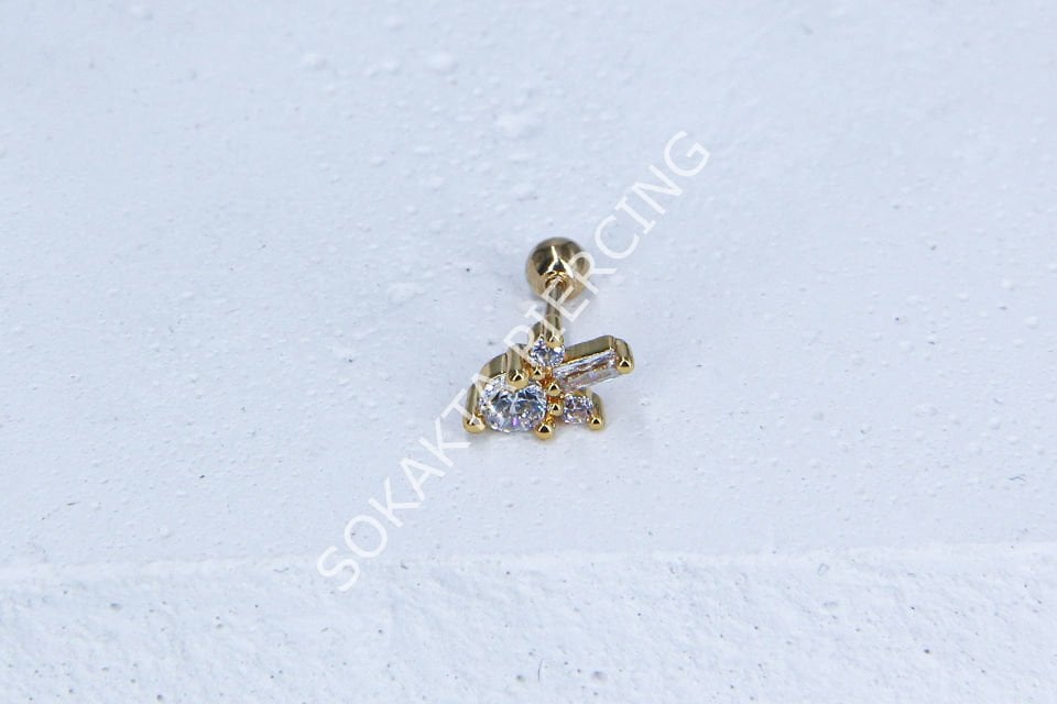 A101- TRAGUS