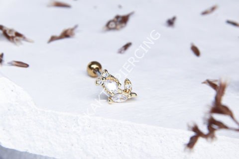 B92 - TRAGUS