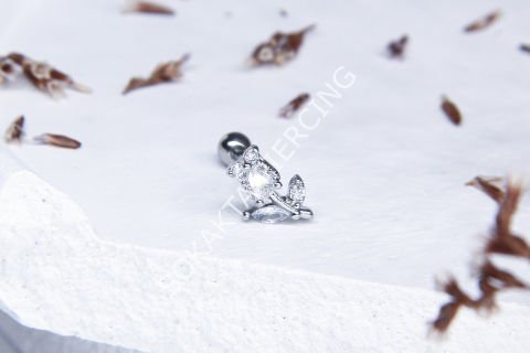 B92 - TRAGUS Silver