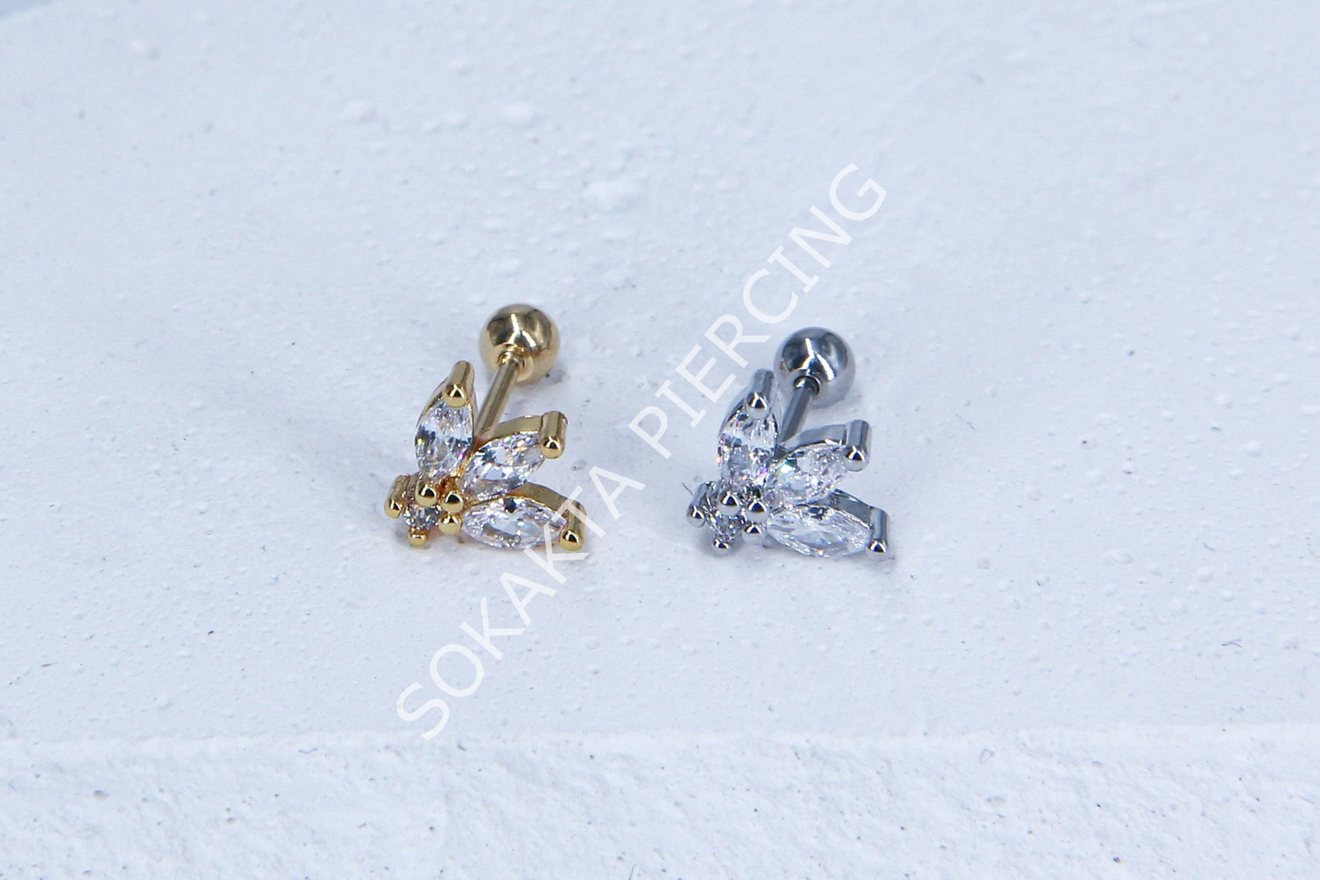 A102- TRAGUS