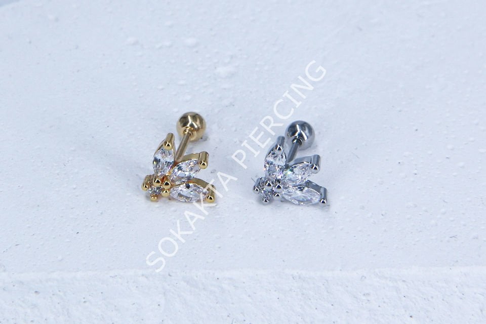 A102- TRAGUS
