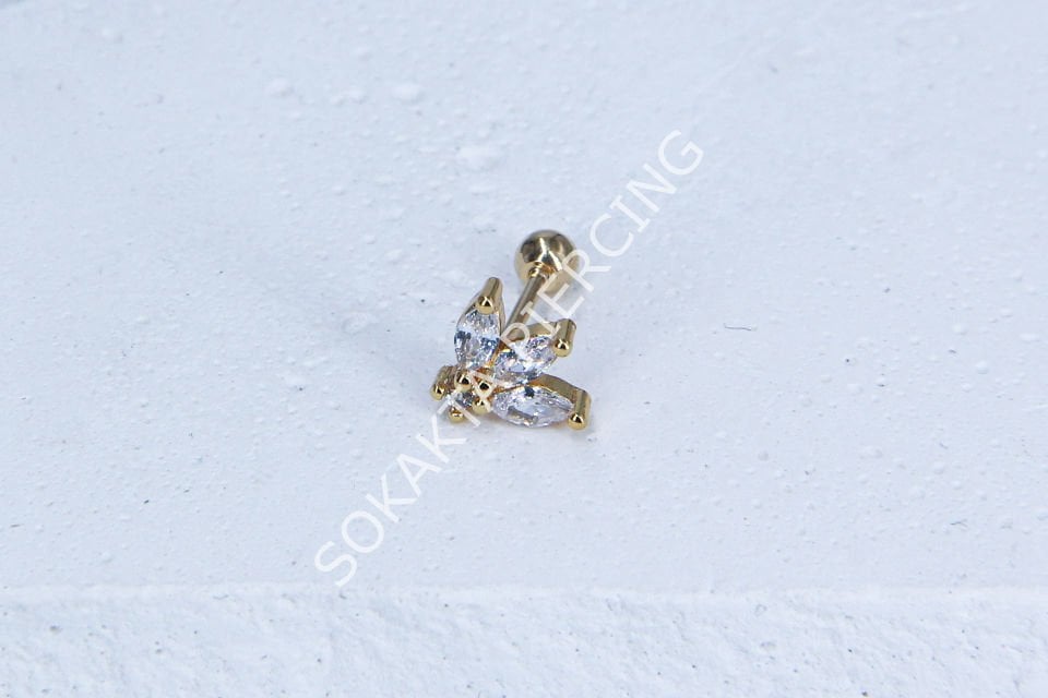 A102- TRAGUS