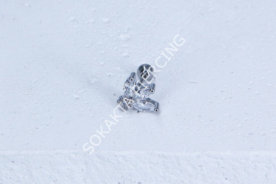 A102- TRAGUS