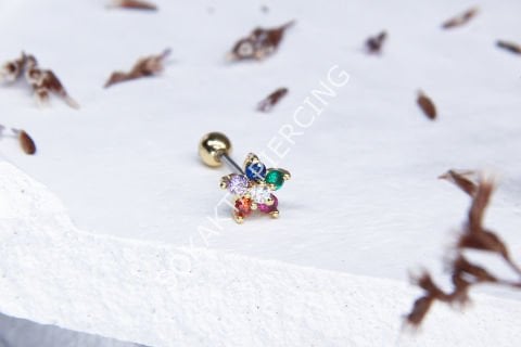 Z26 - TRAGUS