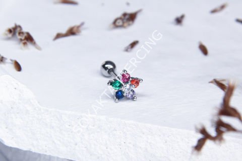 Z26 - TRAGUS