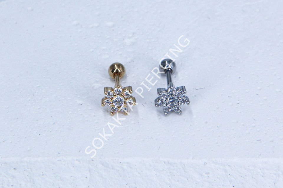 C14- TRAGUS Silver