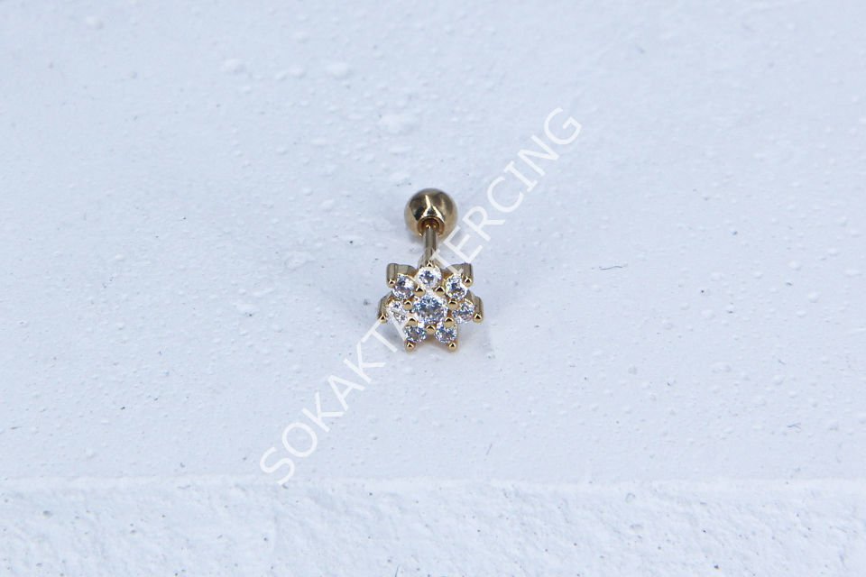 C14- TRAGUS