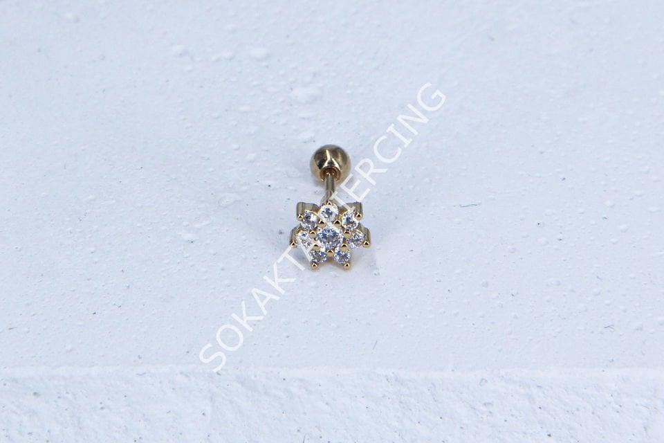 C14- TRAGUS Silver