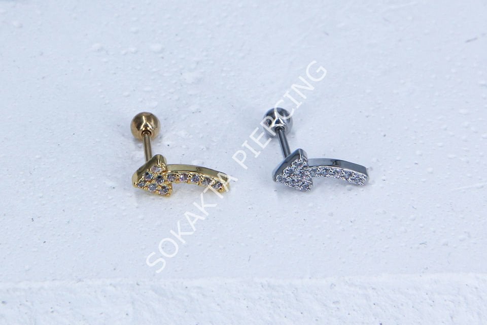 A105- TRAGUS