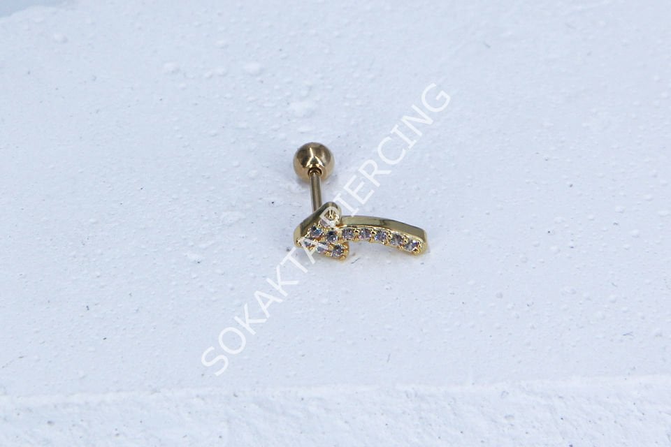A105- TRAGUS