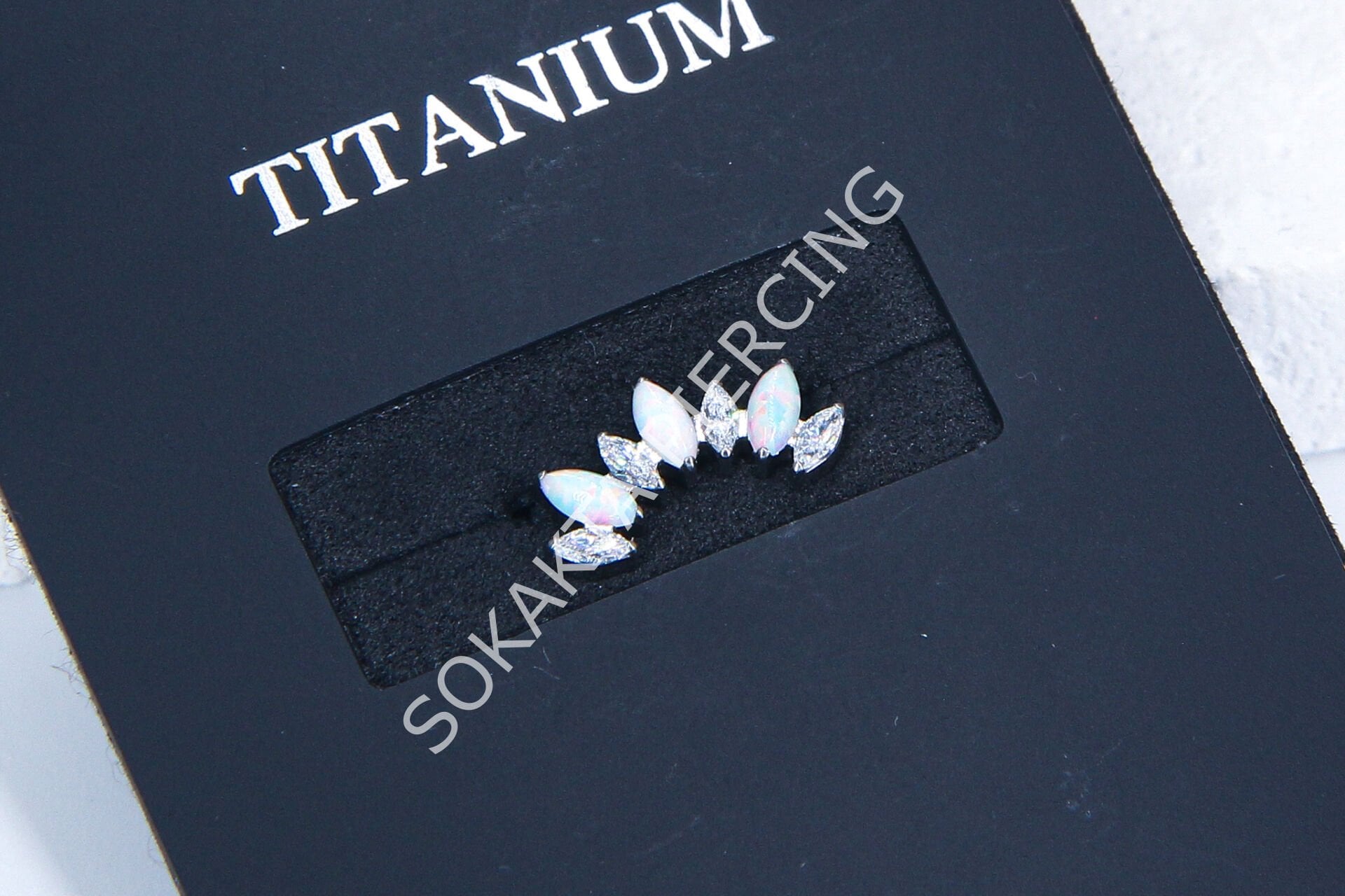 M22 - TITANIUM