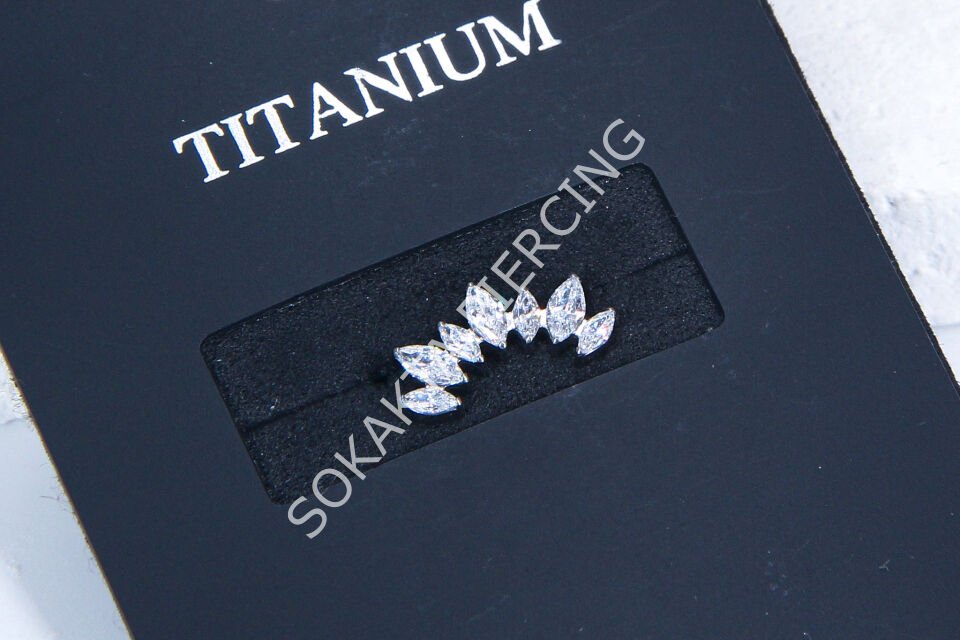 M3 - TITANIUM