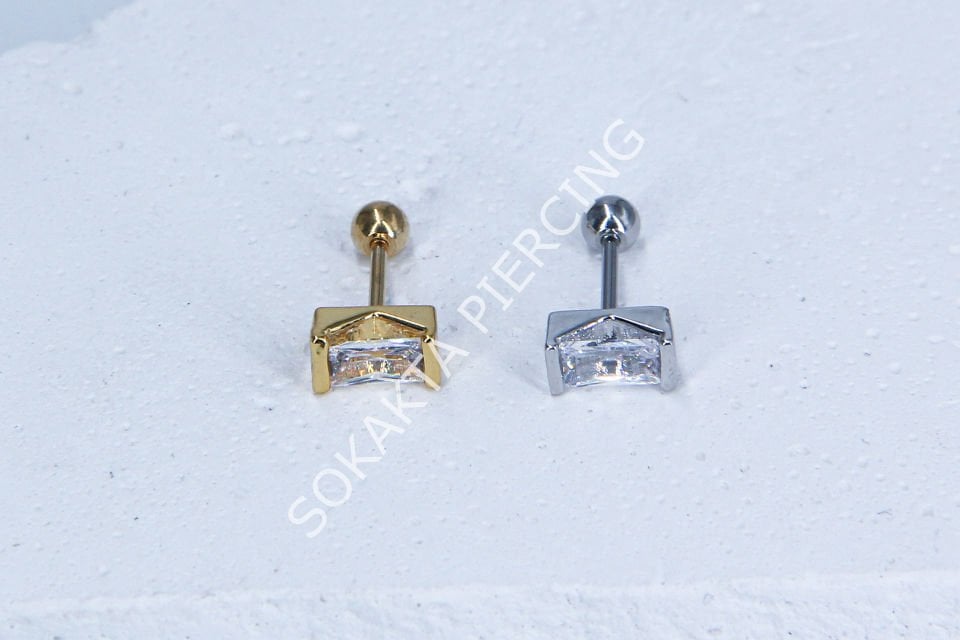A106- TRAGUS