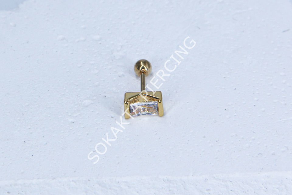 A106- TRAGUS
