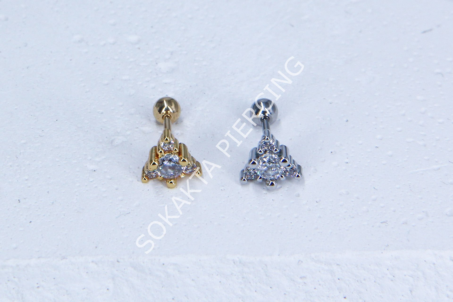 B1- TRAGUS