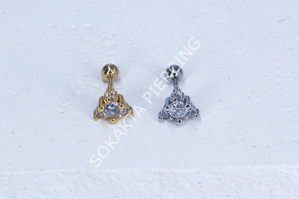B1- TRAGUS