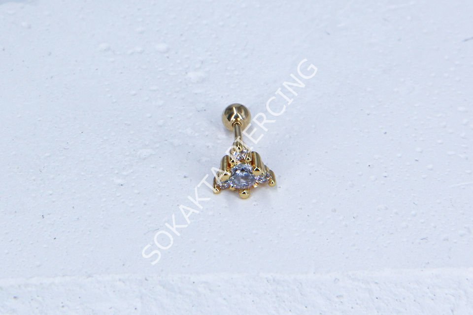 B1- TRAGUS