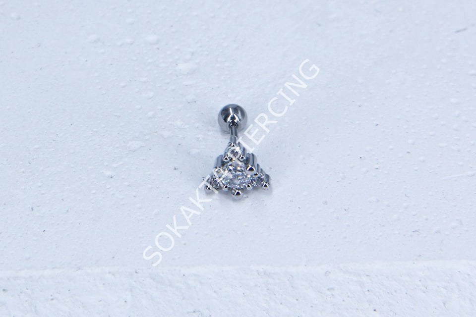 B1- TRAGUS