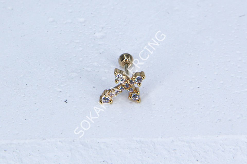 B2- TRAGUS