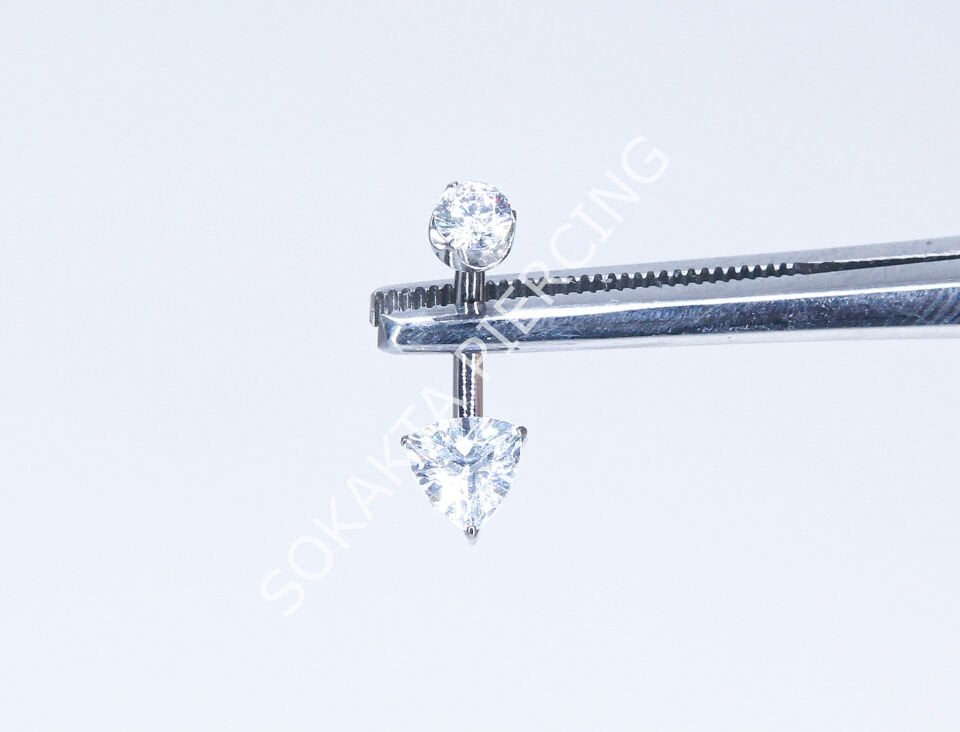 F263- 264 TITANIUM GÖBEK Silver