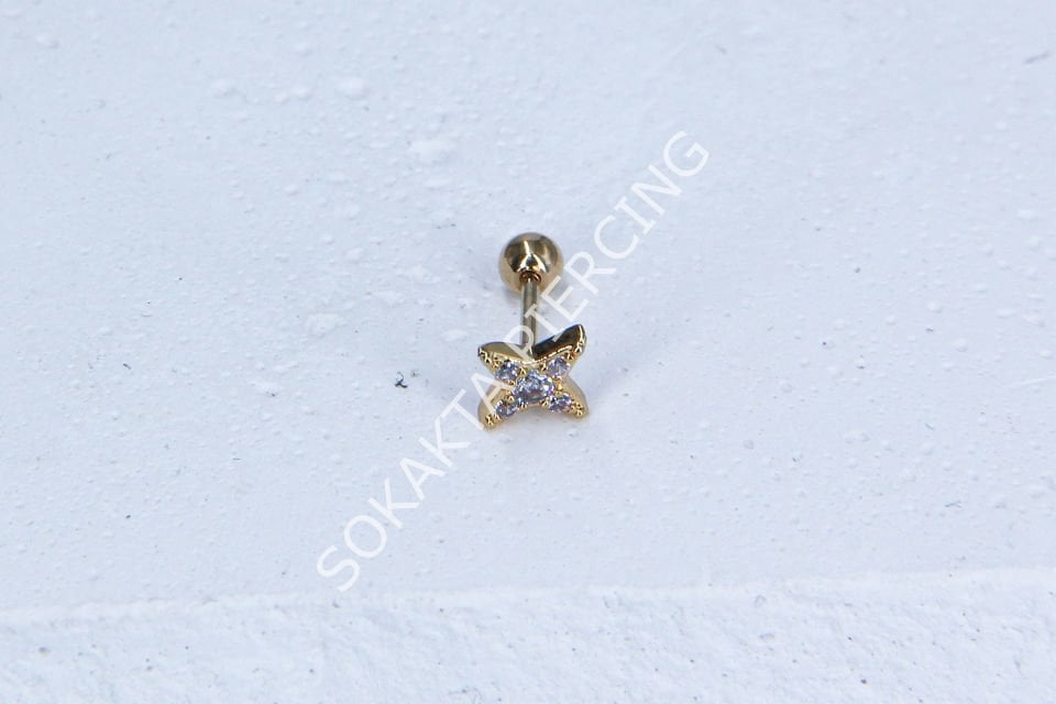 B3- TRAGUS