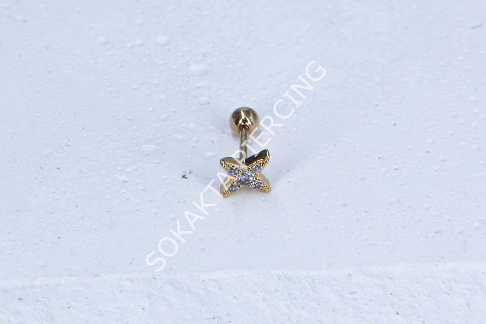 B3- TRAGUS