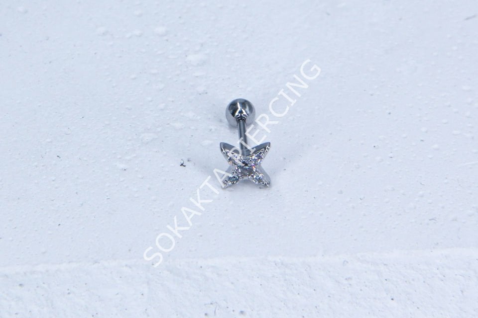 B3- TRAGUS