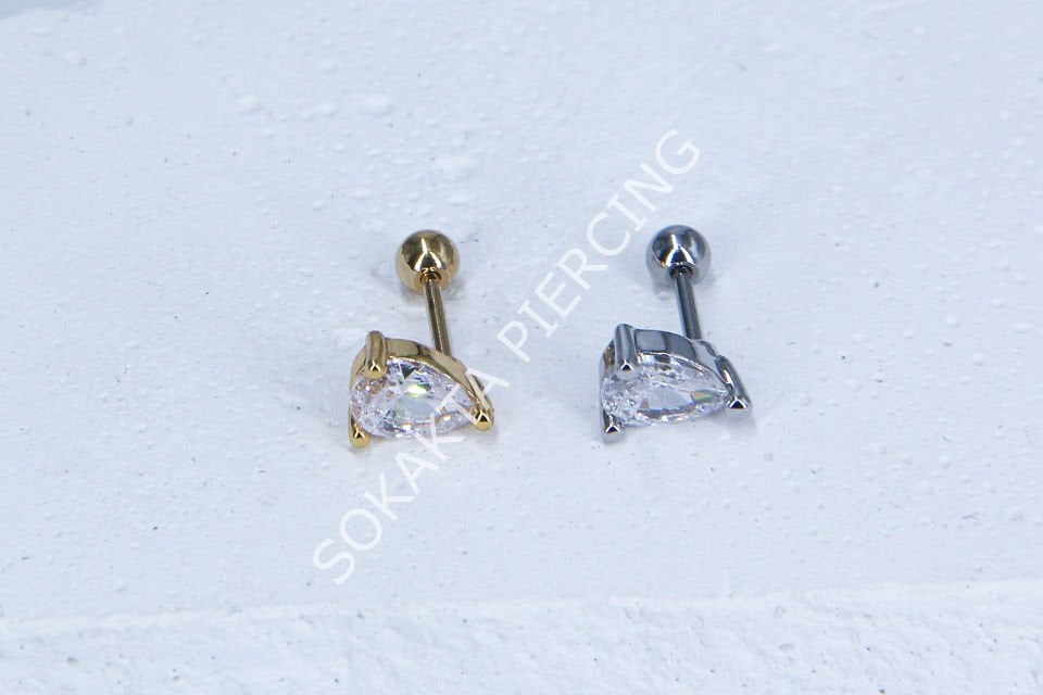 B4- TRAGUS