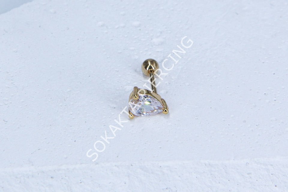 B4- TRAGUS