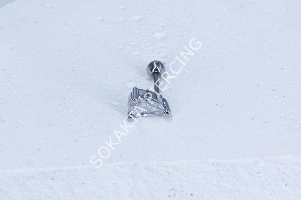 B4- TRAGUS