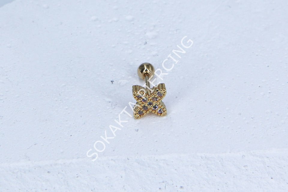 B5- TRAGUS