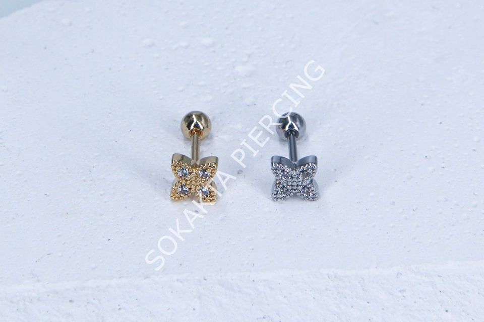 B6- TRAGUS