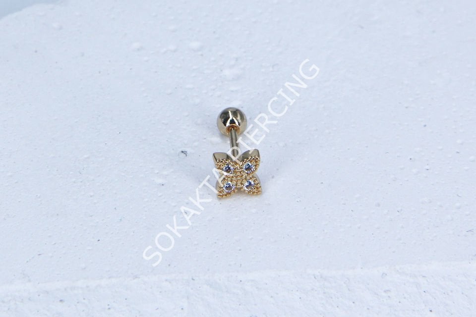 B6- TRAGUS