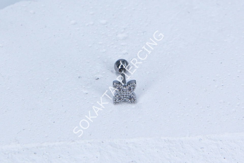 B6- TRAGUS