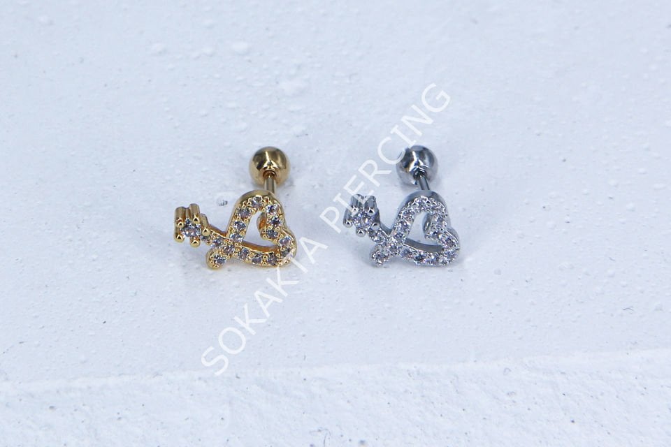 B7- TRAGUS