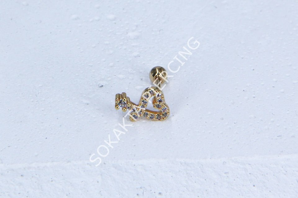 B7- TRAGUS