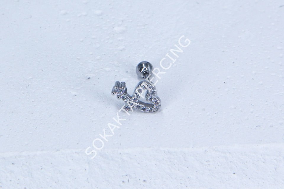 B7- TRAGUS