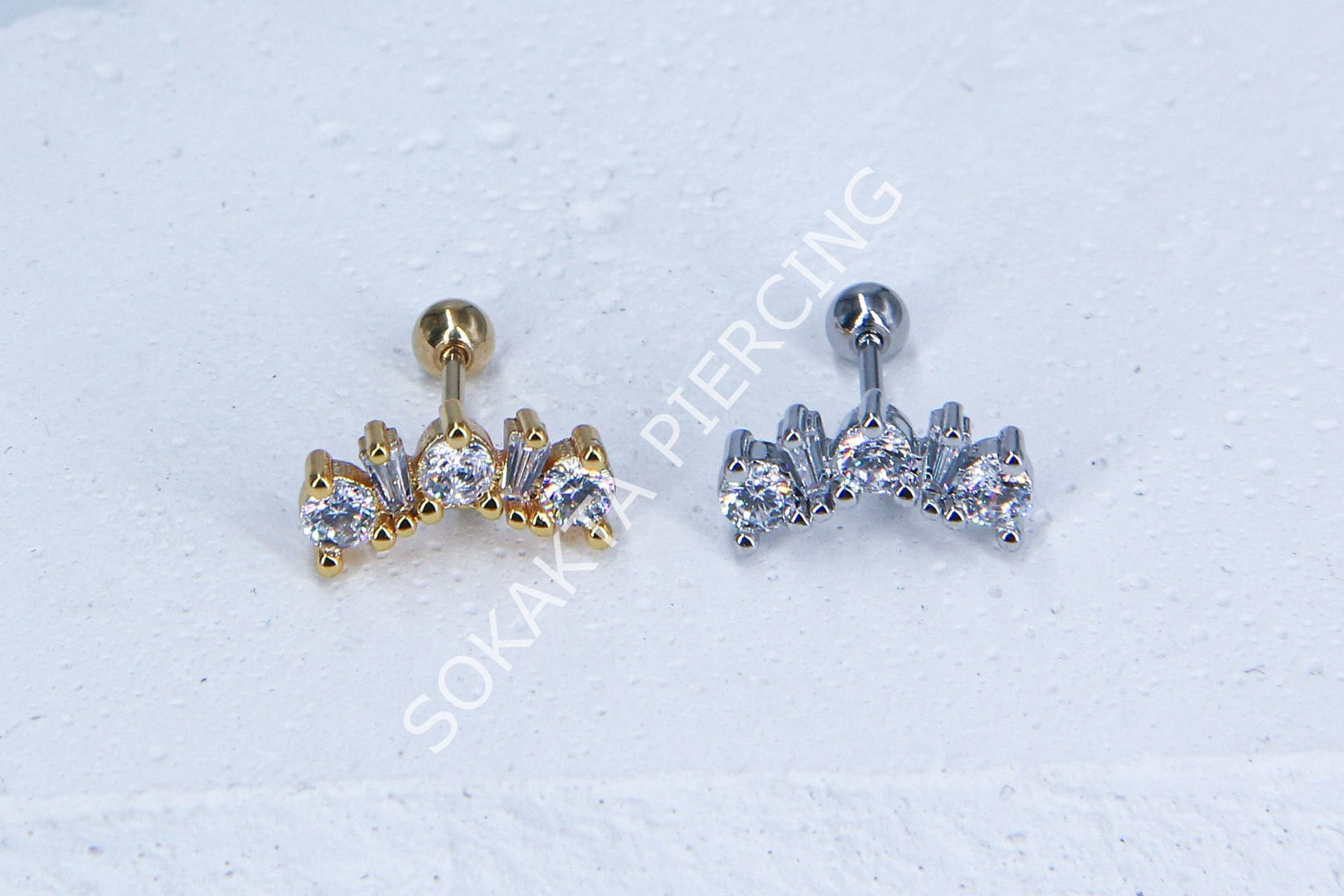 B8- TRAGUS