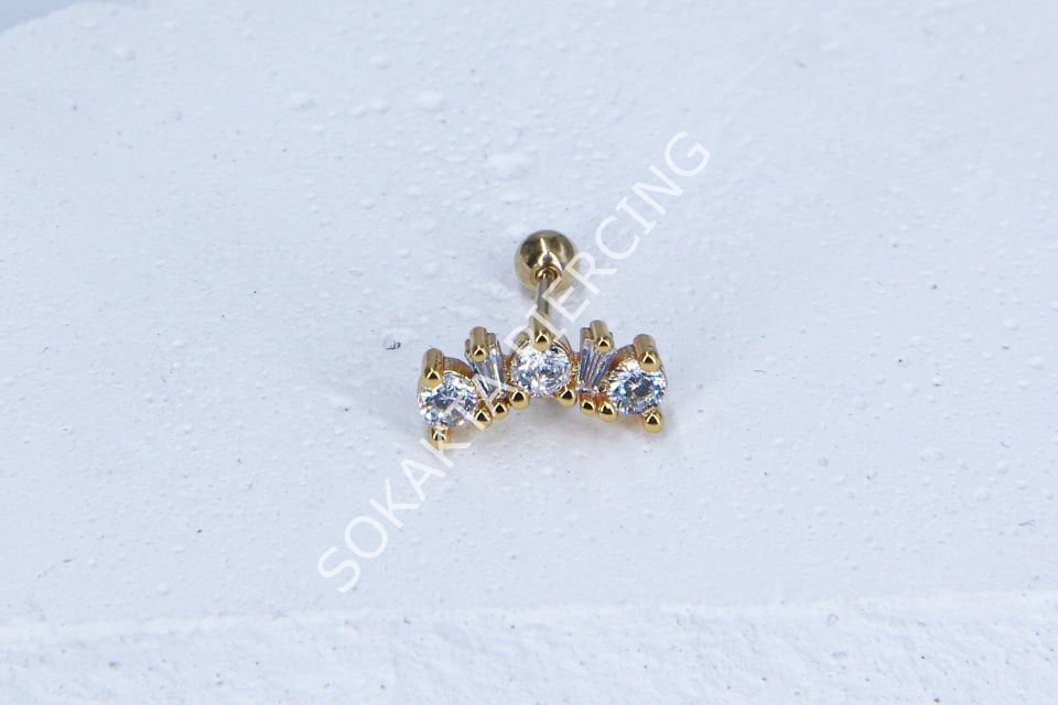 B8- TRAGUS
