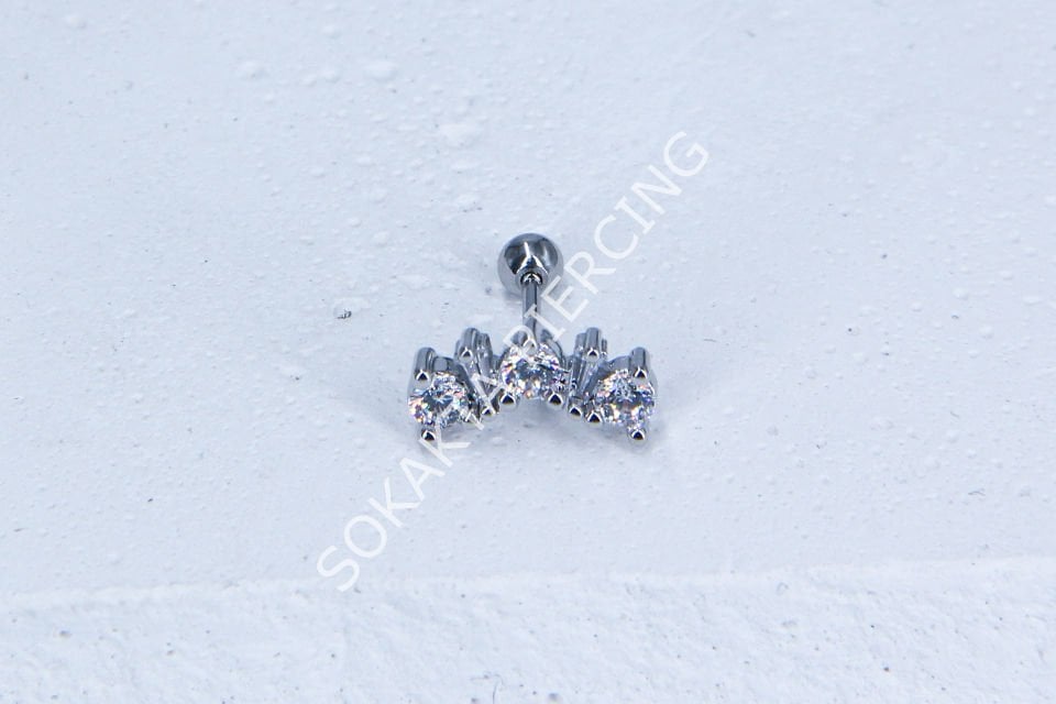 B8- TRAGUS